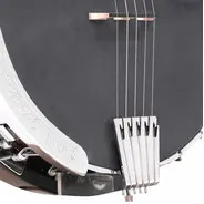 Gold Tone Missing Link Bela Fleck Baritone Banjo with Hard Case