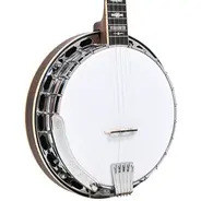 Gold Tone 5-String Orange Blossom Radiused Banjo with Hard Case