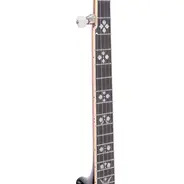 Gold Tone 5-String Orange Bossom Banjo Archtop Tone Ring with Hard Case