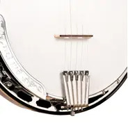 Gold Tone Lightweight 5-String Orange Blossom Radiused Banjo with Hard Case
