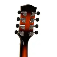 Gold Tone Mandocello Electro Acoustic