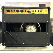 SECONDHAND Marshall JCM 800 Lead Series Model 4210 50-Watt Master Volume 1x12" Combo (1985)