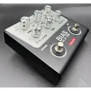 SECONDHAND Positive Grid Bias Delay Twin