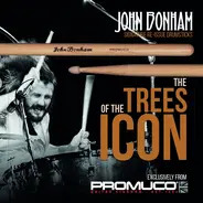 Promuco 5B Oak Wood Tip Drumsticks