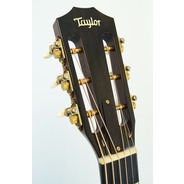 Taylor 510e Electro Acoustic Guitar