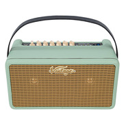 Vintage Retro 25W Guitar Amplifier with DSP