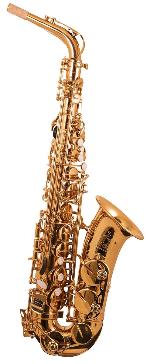 トレバー ジェイムズ アルトサックス THE HORN Revolution ケース付き 