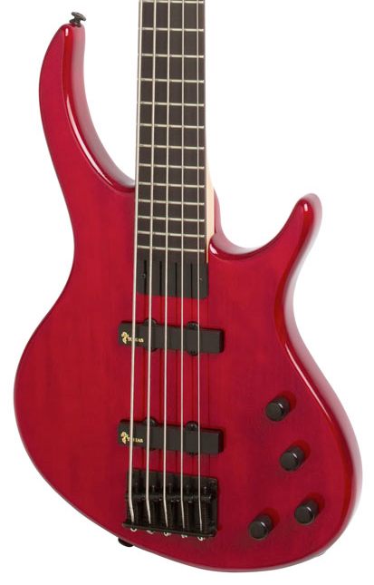 toby 5 string bass